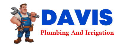 Trusted plumber in DOWS